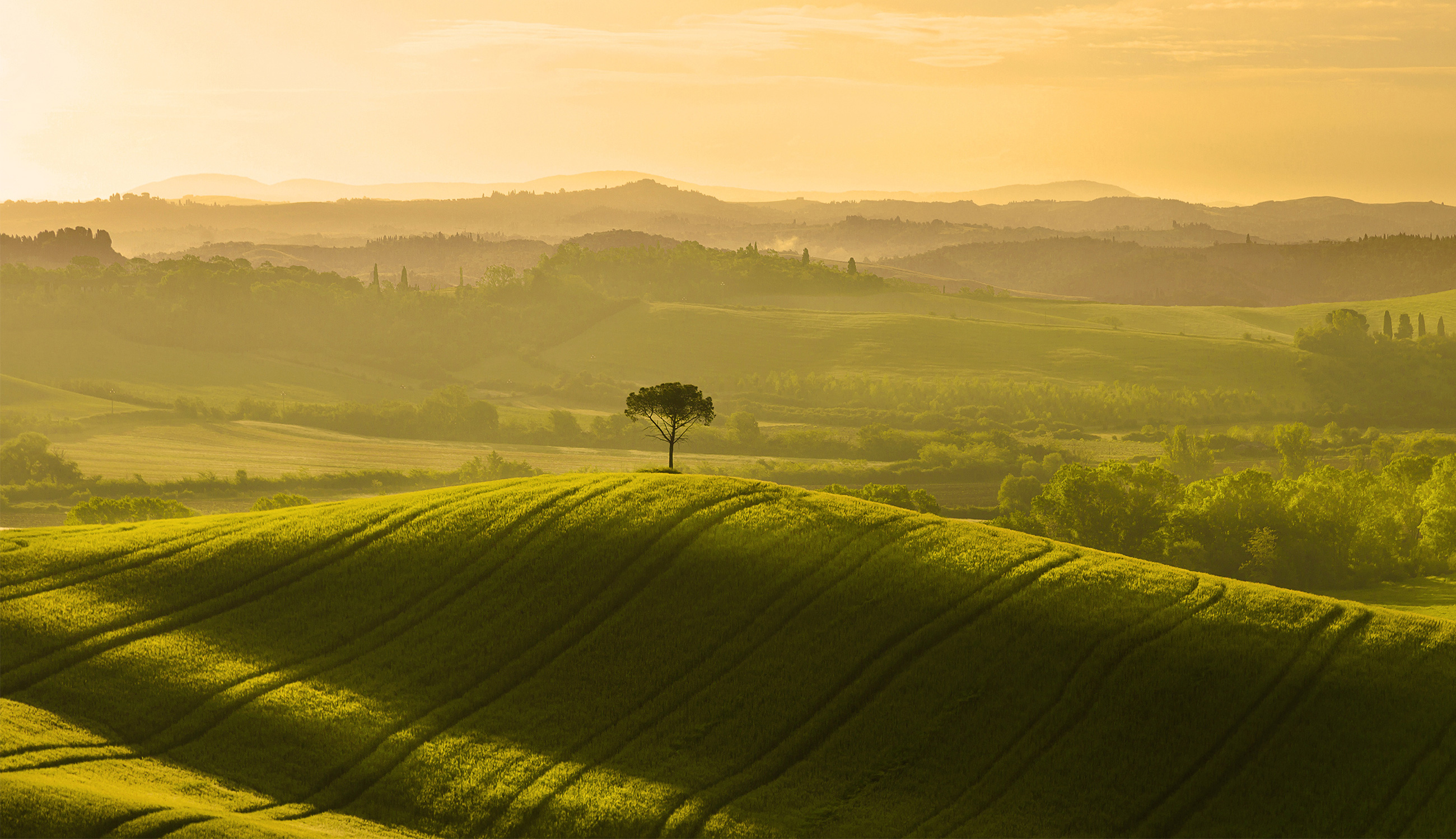 Risultati immagini per a sostenibilitÃ  in materia di cibo, energia e mobilitÃ ...